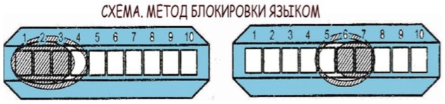 hromatic_block_jazyk