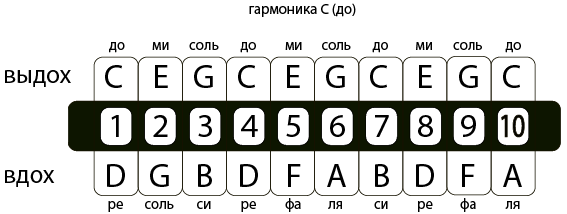 Табы для гармошки. Губная гармошка до мажор Ноты. Расположение нот на губной гармошке. Ноты на губной гармошке с 10. Губная гармошка до мажор расположение нот.